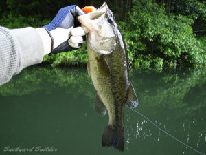 くねくねメソッド