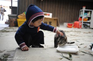 ネコ好きは遺伝か