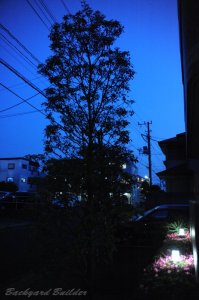 夕暮れ