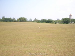 息子inチャイニーズガーデン