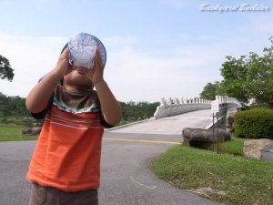 チャイニーズガーデン