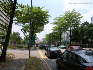 コンドミニアム前の風景