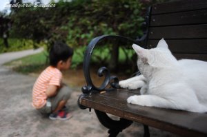 28mmでもこのボケ味(^^)