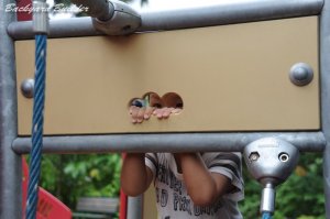 もう少しで2歳6ヶ月