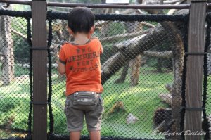 シンガポール動物園