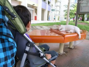 バス乗り場のマスコット