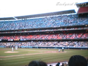 ひでぇカメラだった(--#)