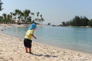 オトーさん頑張れ～