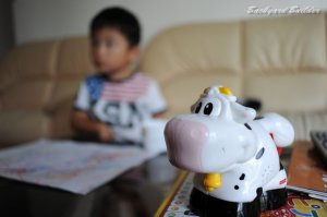 フルサイズのボケ味(^^)