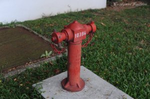 hydrant