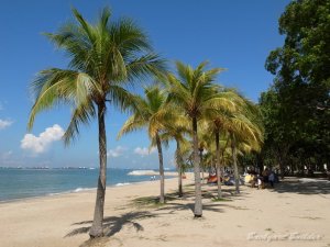 南国シンガポール