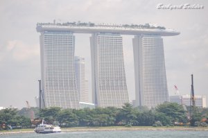 なんじゃこりゃ～