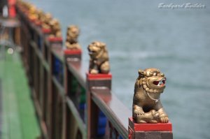 行列のできるチェンホー号