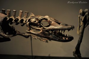 シンガポールサイエンスセンターにて