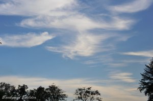 シンガポールの空