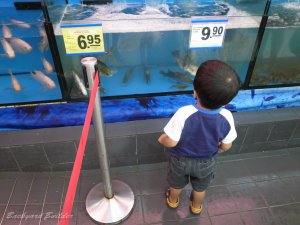 近所のスーパーにて