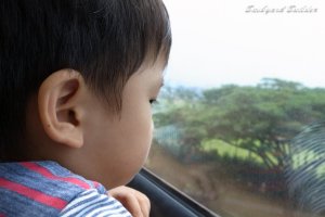 すくすくと成長中