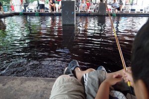 またエビ釣りに行ってきたよん(^^)