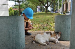 またアンタにゃ