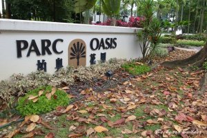 枯葉ちる夕暮れ