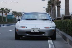 パカパカライト