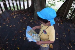 �n�}��D��