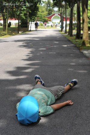 �������ċx�e��(^^)