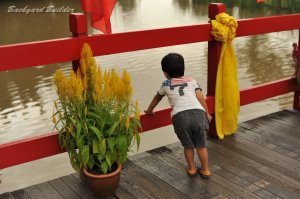 �r�r�b�h�J���[