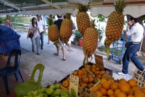 �p�C�i�|�[