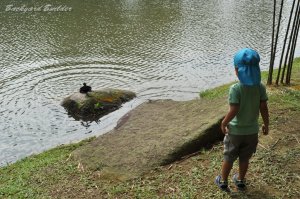 �J������