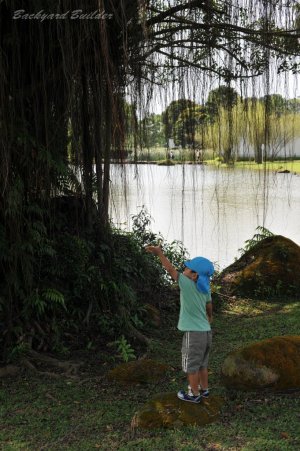 �`���C�j�[�Y�K�[�f��