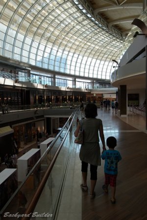 �V���b�s���O���[��