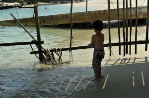 �Z���g�[�T��