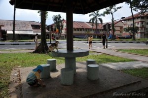 �j�����R�搶