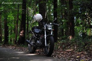 FTR�����ԋ�(^^)