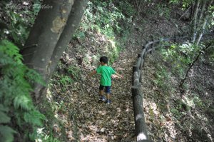 �n�C�L���O