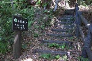 �g���b�L���O���[�h