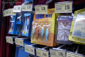 �V���K�|�[���̃��A�[����