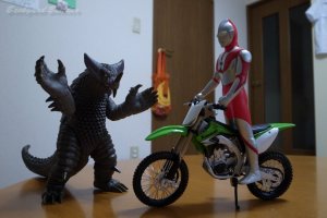 ���ڂ��̔Ԃ�