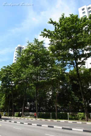 ������Ɖ����������i