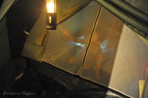 �L�����h��