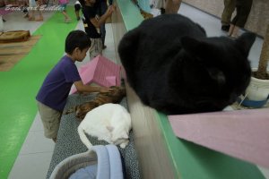 �l�R���@����