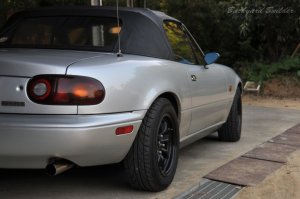 �������傥���` (^^)