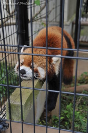 ���b�T�[�p���_