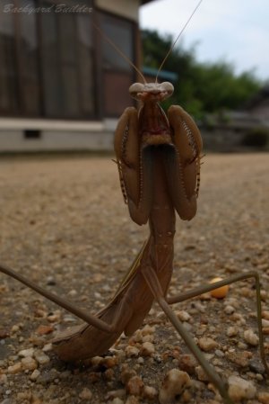 �J�}�L�����@