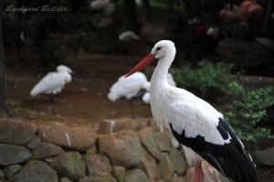 �s�쓮�A����