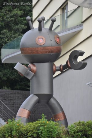 �����񂾂�