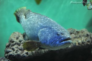 �����Ȃ���