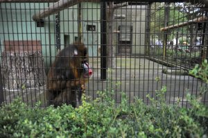 �}���h����