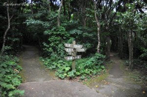 �l���݂̂�